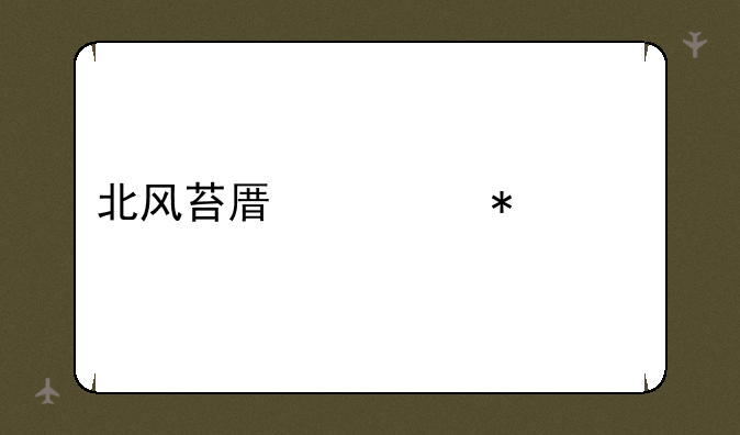 北风苔原任务大全