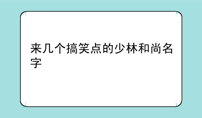 来几个搞笑点的少林和尚名字
