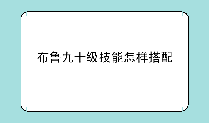 布鲁九十级技能怎样搭配