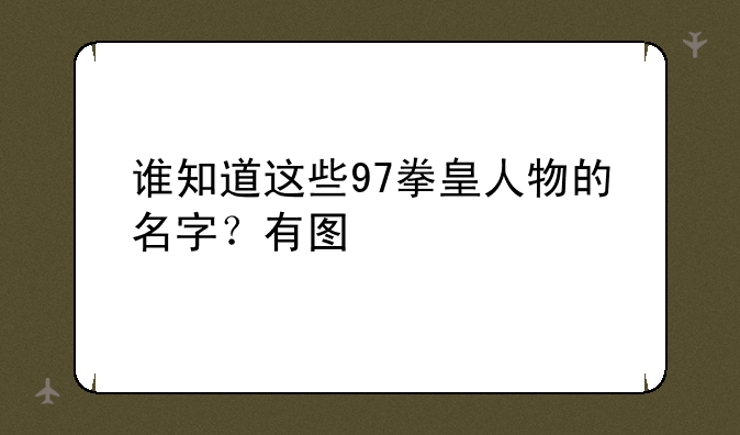 谁知道这些97拳皇人物的名字？有图