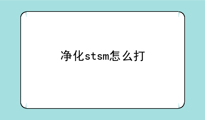 净化stsm怎么打